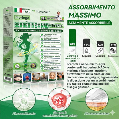 IT Negozio ufficiale | 🍀GLORENDA® Moringa Berberinex NAD+ Cerotto con microaghi nano 10 in 1 (Solo una volta al giorno, cambiamenti visibili in 7 giorni)