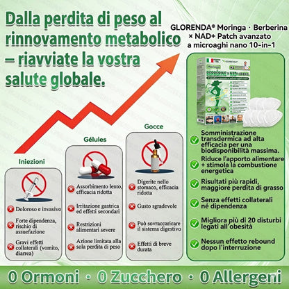 IT Negozio ufficiale | 🍀GLORENDA® Moringa Berberinex NAD+ Cerotto con microaghi nano 10 in 1 (Solo una volta al giorno, cambiamenti visibili in 7 giorni)