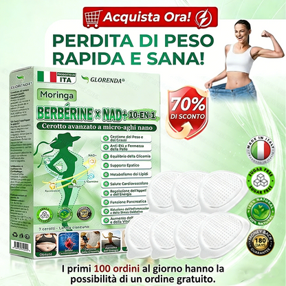 IT Negozio ufficiale | 🍀GLORENDA® Moringa Berberinex NAD+ Cerotto con microaghi nano 10 in 1 (Solo una volta al giorno, cambiamenti visibili in 7 giorni)