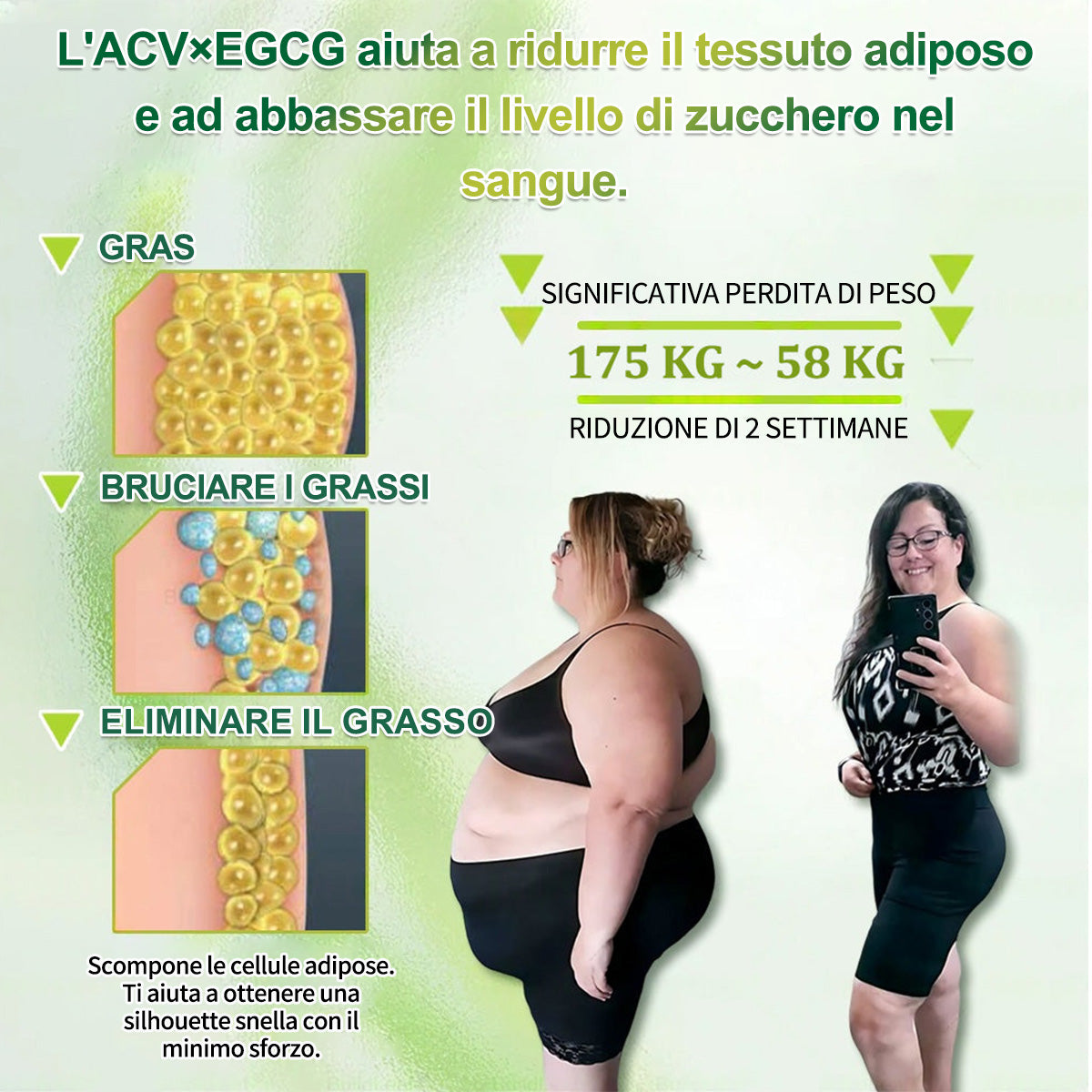 IT Negozio ufficiale | 🍀GLORENDA® Moringa Berberinex NAD+ Cerotto con microaghi nano 10 in 1 (Solo una volta al giorno, cambiamenti visibili in 7 giorni)