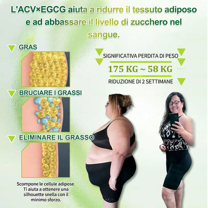 IT Negozio ufficiale | 🍀GLORENDA® Moringa Berberinex NAD+ Cerotto con microaghi nano 10 in 1 (Solo una volta al giorno, cambiamenti visibili in 7 giorni)