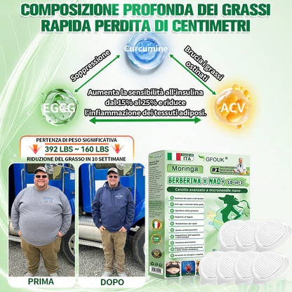 IT Negozio ufficiale | 🍀GLORENDA® Moringa Berberinex NAD+ Cerotto con microaghi nano 10 in 1 (Solo una volta al giorno, cambiamenti visibili in 7 giorni)