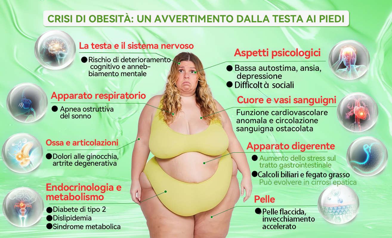 【⏰Promozione negli ultimi 30 minuti!